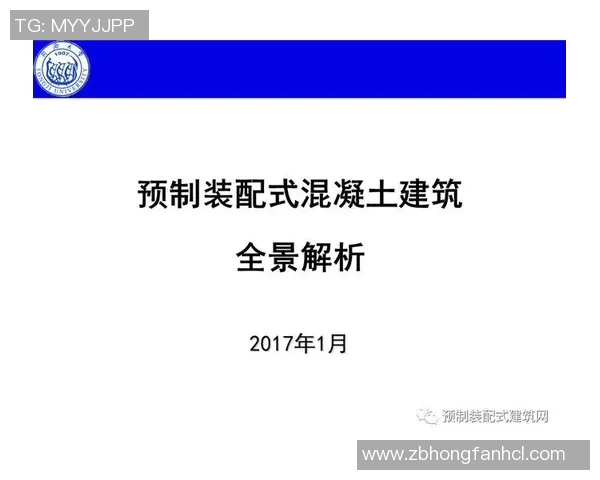 杭州排球队的控制革新探索与实践全景解析