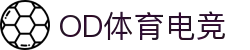 OD体育(中国电竞)有限公司官网