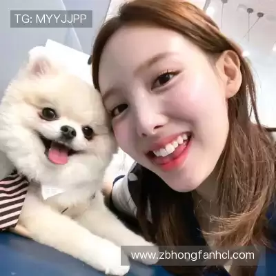 成菲笛