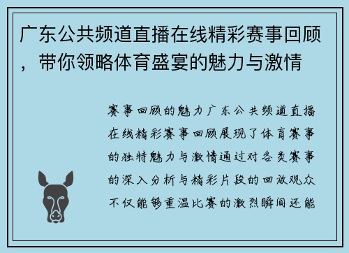 广东公共频道直播在线精彩赛事回顾，带你领略体育盛宴的魅力与激情