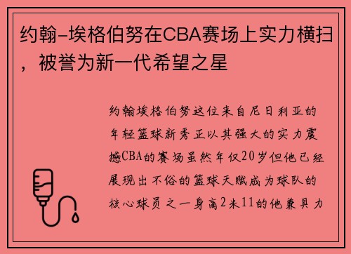 约翰-埃格伯努在CBA赛场上实力横扫，被誉为新一代希望之星